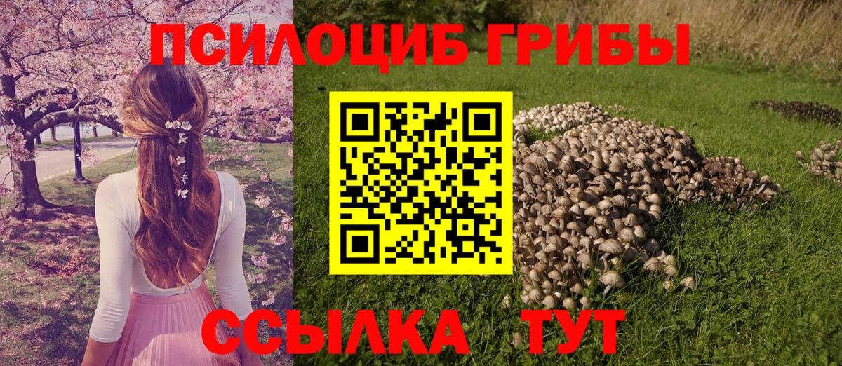 Энгельс  Галлюциногенные грибы Cubensis  Вход с VPN 
